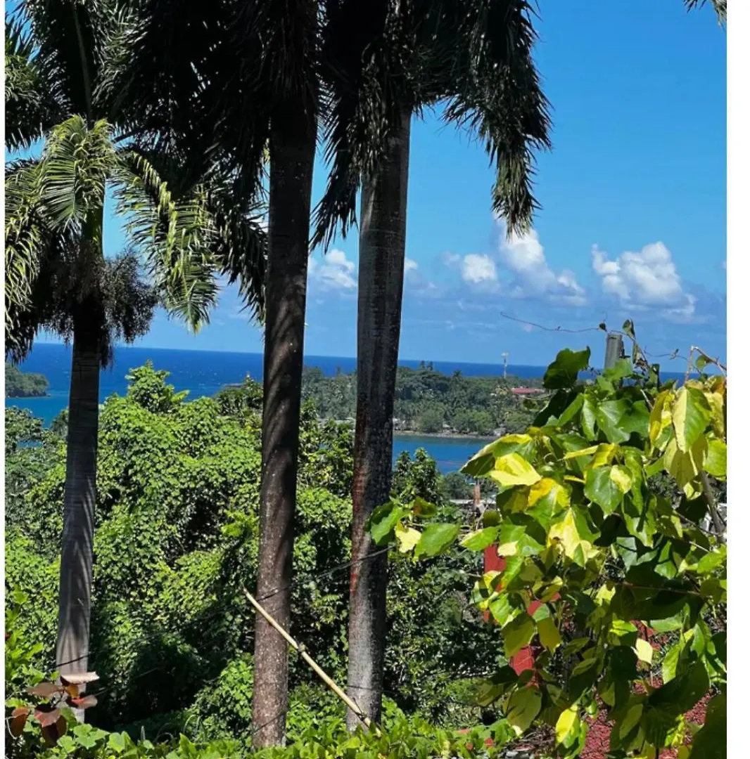 Angelaspalace Port Antonio