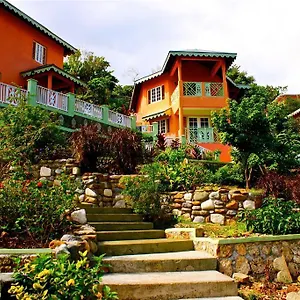 Lodge Pimento, Port Antonio